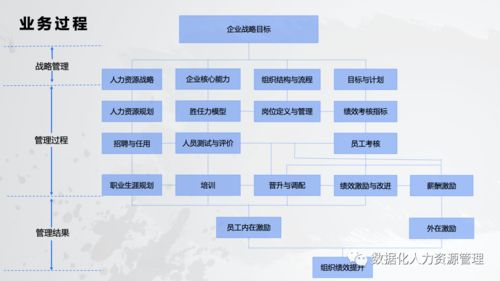 數據產品在人力資源管理的實踐與思考 一、在線數據處理與交易處理業務
