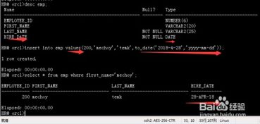 Oracle DML數據修改與事務處理 在線數據處理與交易處理的基石